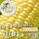 で食べれる！北海道富良野産　フルーツとうもころこし　恵味（めぐみ）　　「sweet-vegetable/0527」まずは生でどうぞ！スイーツみたいなトウモロコシです。生でも電子レンジでも気軽に食べれて、とっても甘い！