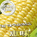 北海道富良野産 フルーツとうもころこし 恵味(めぐみ) Lサイズ 12本入り【送料無料】【楽ギフ_包装】【楽ギフ_のし】【楽ギフ_のし宛書】【楽ギフ_メッセ】【楽ギフ_メッセ入力】【10P03Dec16】