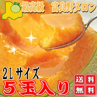 北海道富良野産　赤肉メロン　秀品2L　5玉　　【送料無料】