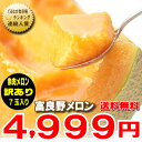 メロン 北海道富良野産 訳あり 赤肉メロン 1kg前後 7玉 【送料無料】【10P03Dec16】