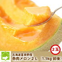 メロン 北海道富良野産 赤肉メロン 2Lサイズ 2玉入り【送料無料】 【お中元ギフト】【DEAL】