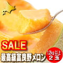 北海道富良野産 富良野メロン(赤肉)秀品 1.2k