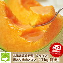 メロン 北海道富良野産 訳あり 赤肉メロン Sサイズ 1kg前後 7玉 【送料無料】【10P03Dec16】