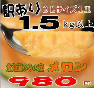 【7月発送】北海道富良野産　訳あり（ワケアリ）　赤肉メロン（めろん）【2Lサイズ　1．5kg】　【point_hkd_0601】2Lサイズが980円！送料無料商品と同梱で送料無料