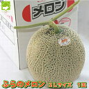 北海道富良野産 最高級赤肉メロン 2L 1玉入り 【お中元対応】 【あす楽対応_北海道】【あす楽対応_関東】【10P03Dec16】
