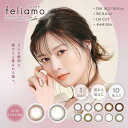 送料無料 カラコン ワンデー フェリアモ 1箱10枚 14.2mm 14.5mm 白石麻衣 ナチュラル ブラウン グレー カラーコンタクト 1day 1日使い捨て