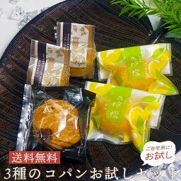 <strong>コパン</strong>お試しセット 3種入り お試し 送料無料 <strong>レモンケーキ</strong> スイートポテト マロンパイ おためし 訳あり お中元 スイーツ ギフト お菓子 焼き菓子 焼菓子 島檸檬 お祝い 内祝い ギフト 手土産 お土産 誕生日 贈り物 贈答用 詰め合わせ