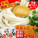 讃岐うどんお試しセット【メール便発送】【同梱不可】【代金引換利用不可】【ギフト対応不可】【 本場 本格 さぬき さぬきうどん 讃岐うどん お試し 】