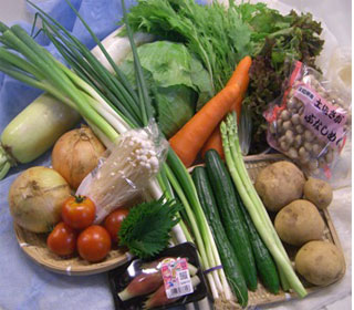 【送料無料】【定期購入】四国の田舎で取れた季節のお野菜、たっぷり15品盛りあわせ・詰め合わせ