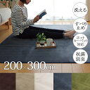 ラグ カーペット 4畳 約200×300cm 洗え