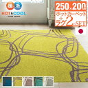 送料無料 ラグ マット 3畳 250x200cm +ホットカーペット本体セット 長方形 北欧 モダン シンプル ホットカーペット カバー 洗える モダンデザインホットカーペット ピーク 滑り止め ラグマット 防ダニ 電気カーペット あったか 保温シート おしゃれ