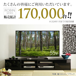 背面収納TVボードロビン