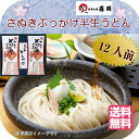 【藤井製麺】さぬきぶっかけ半生うどん GNB-30 12人前 300g×4袋 麺つゆ付き 讃岐 お中元 お歳暮 鍋 うどん 送料無料 温冷OK