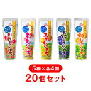 【ゴールドパック】 常温 国産ジュース5種アソートセット 9...