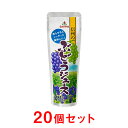 【ゴールドパック】 常温 信州のぶどうジュース 100%果汁...
