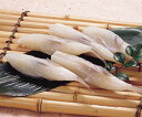 【季節限定:秋食材】さえき)豆ふぐむき身 500g(フグ 魚 秋食材)【RCP】
