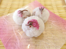 GFC)桜花おはぎ 23g×15個 ＜2月中-5月＞(甘味 和菓子)...:syokusai-shop:10012751