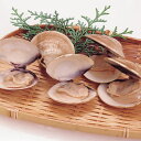天然はまぐり(殻付) 500g(約20〜25個入)(冷凍食品...