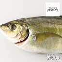 津本式 津本光弘 本人仕立て 究極の血抜きシマアジ重量 約1.0~1.2kg×2尾入り 養殖 送料無料 宮崎県から発送 津本式 血抜き 鮮魚 メディア 鮮魚革命 「 著書 究極の血抜き 津本式 」で紹介 刺身 youtube 人気