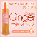 生姜シロップ 260g 1本
