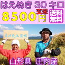 【送料無料】【28年度産】【30kg】はえぬき　1等米 山形 白米（27kg)　玄米(30kg)選べます 【農家直送！！　送料無料(一部追加あり】 ランキングお取り寄せ