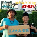 【令和2年度産】山形はえぬき【30kg】 1等米 山形 白米(27kg) 玄米(30kg)選べます 【農家直送!! 送料無料(一部追加あり】