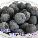 訳あり 不揃い 長野県産 冷凍ブルーベリー 600g(100g×6p）