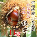 信州産 小布施栗(銀寄)【低温熟成・無薫...