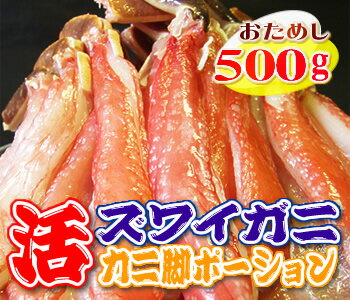 【最高級品質カナダ産】活ズワイガニポーション（むき身）500g（かに脚のみ20-35本入)[冷凍]【送料無料】