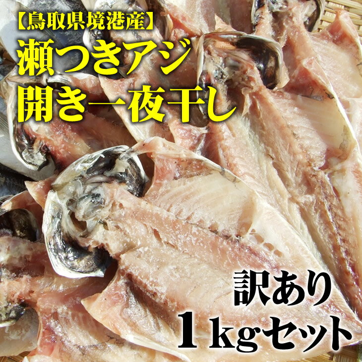 【送料無料】山陰日本海の鯵干物！訳あり【瀬つきアジ開き一夜干し】1kgセット（16-20尾程度入）［鳥取県境港産］〔冷凍〕