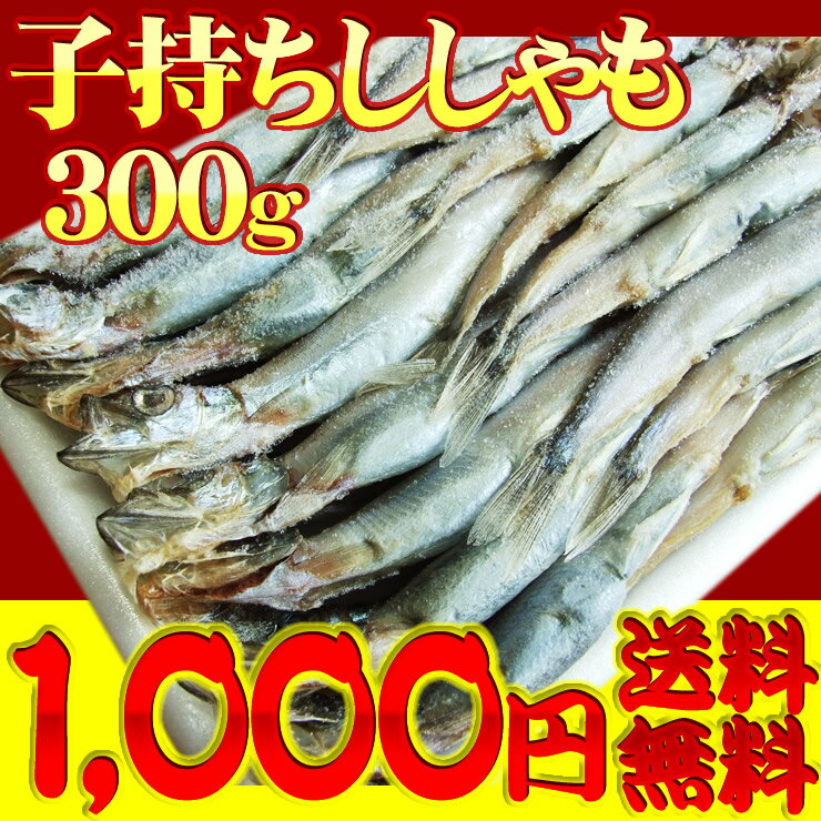 【子持ちカラフトししゃも一夜干し】送料無料！300gセット［ノルウェー産］【1配送先に2セットご購入毎に1セットプレゼント】*〔冷凍〕【2sp_120720_a】超特価1000円ポッキリ送料無料！