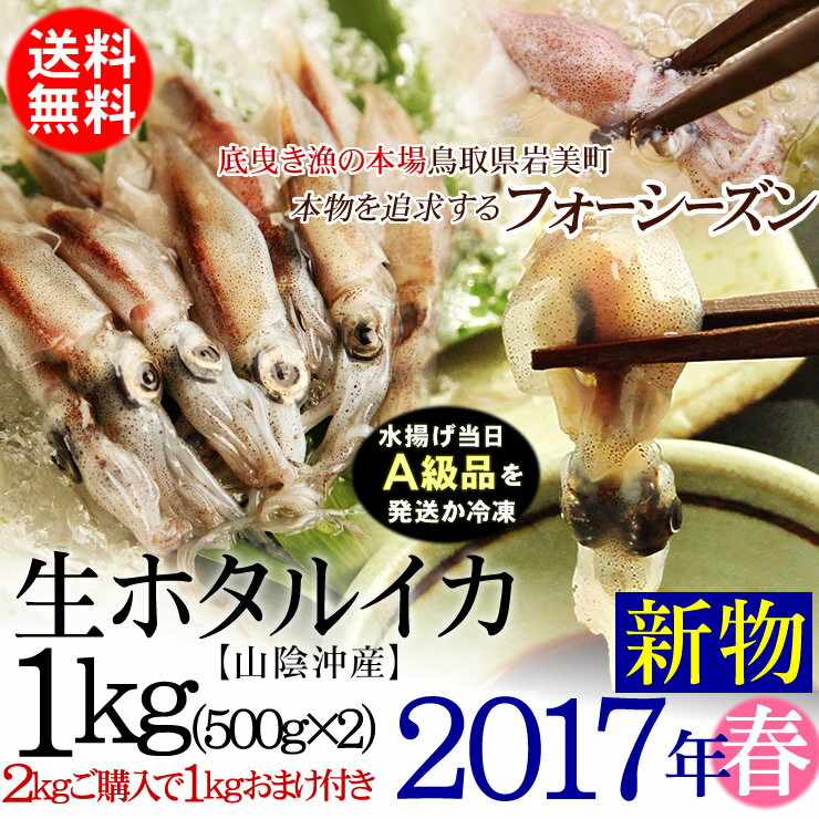 【予約販売】【送料無料】ホタルイカ（2017年・新物A級）[生] 1kgセット（500g×2パック入...:syun-sakana:10000512