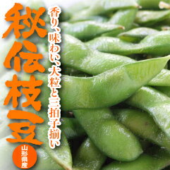 山形県産『秘伝枝豆』1袋500g（ゆで・冷凍）【1配送先で3セット以上購入で送料サービス】