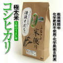 極太米「コシヒカリ」 10kg［送料無料］[常温]山陰海岸に近い岩井温泉周辺に広がる田園と蒲生川の清らかな水が育てたおいしいお米。米粒が大きく充実した食べごたえ。