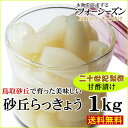 【送料無料】砂丘らっきょう【二十世紀梨酢漬け】1kg[らっき...