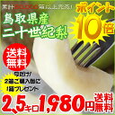 二十世紀梨 2.5kgセット(6-9玉入) *（20世紀梨）鳥取県特産「二十世紀梨」直送！
