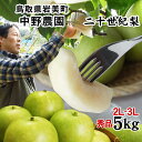 【予約!遅め9月10日頃〜収穫】中野農園【二十世紀梨】5kg...