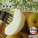 【予約!10月上旬以降出荷】【新興梨(しんこうなし