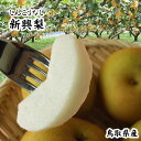 5kgセット（10-16玉）鳥取県産長期保存にも強い」鳥取県産の『新興梨（しんこう）』をお届けいたします。
