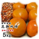 【訳あり花御所柿】約5kg（18-30玉）セット〔へたすき〕〔送料無料〕〔鳥取県特産品〕[常温]【収穫があり次第出荷】 ランキングお取り寄せ