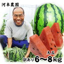 【早割ポイント5倍】【予約販売】河本農園の大玉スイ