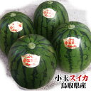 【早割ポイント5倍】【予約販売】【送料無料】小玉ス