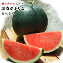 【予約販売】【棚落ち訳あり 自家用】河本農園の大玉黒皮スイカ(がぶりこ)1玉(6-8kg程度)(L-3L)【送料無料】【常温】種が少なく甘い【平均糖度12度!】【7月下旬以降収穫があり次第出荷】すいか 鳥取スイカ