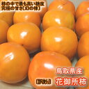 究極の甘さ♪希少な晩秋の幻の柿!!柿の中で最高の糖度!【訳あり花御所柿】5kg(18-24玉)セット〔へたすき〕〔送料無料〕究極の甘さ♪希少な晩秋の幻の柿〔鳥取県特産品〕
