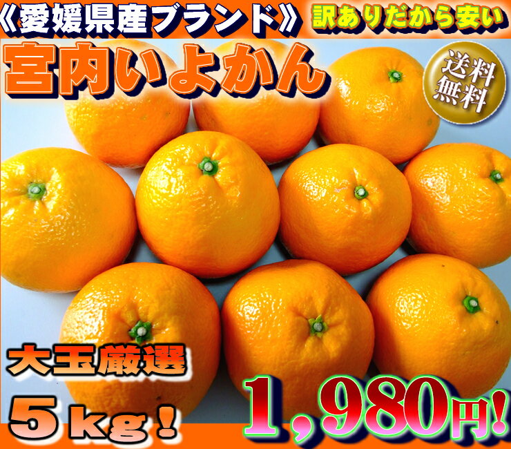 ̣ȴǲ̽äפͽNo1̡ȵ⤤褫ɡۤ㤤5kgå̵ɲ