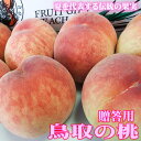 限定特価！4kgセット(13-18玉入り)［鳥取県産］［赤秀］常温糖度バランスの揃った美味しく、きめ細やかな口あたりの桃です。