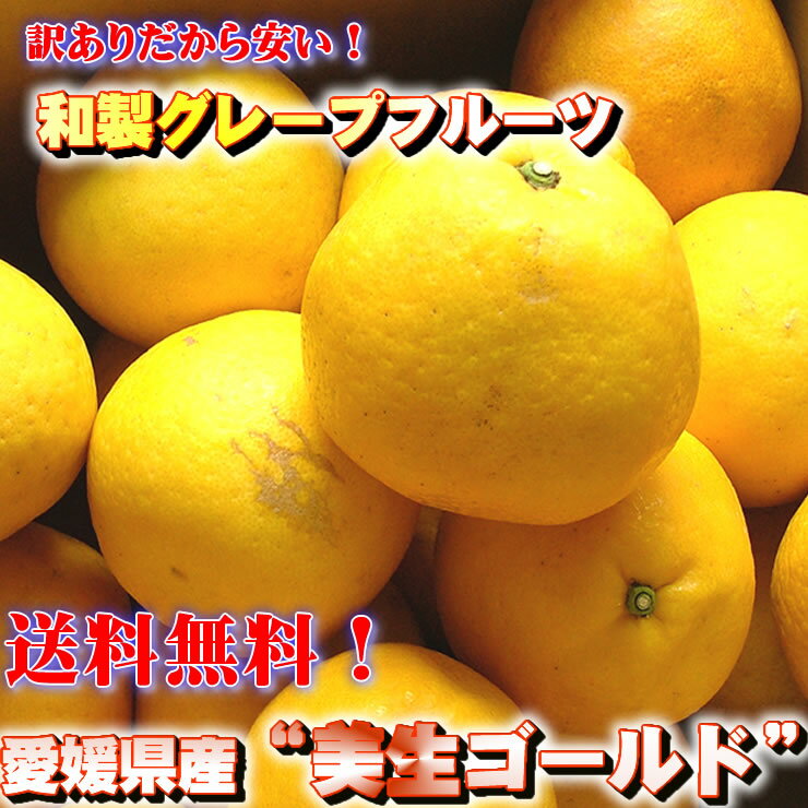 【訳あり美生ゴールド】たっぷり5kgセット送料無料！〔自家用〕【常温】愛媛県産和製グレープフルーツ！