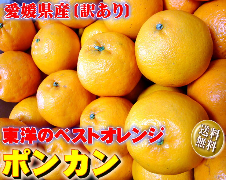 4ָۢΤΥ٥ȥ󥸡ݥ󥫥ۤ㤤5kgå̵澮ǻʴŤߤ˧ʹꡪɲ