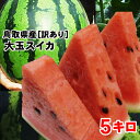 【早割ポイント5倍】【予約販売】送料無料![訳あり