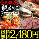 セコガニ（親がに・勢子がに)【訳あり】[生]1kgセット（5-8枚程度入）【送料無料】【山陰産】【1配送先で2セット以上購入で1セット増量】*【カニ】【かに】【蟹】せこがに せいこ蟹 セイコガニ　せいこがに　【FoCou1214】【RCP】